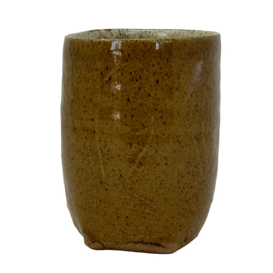 fish cup